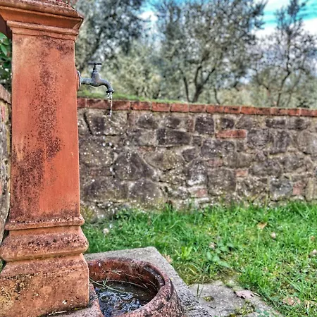 Casa Degli Ulivi ヴィラ *